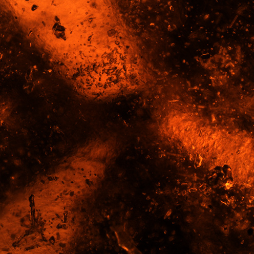 IMG – Garnet Microscope View 1 93547 496x496 IMG – Garnet Microscope View 1 93547 496x496