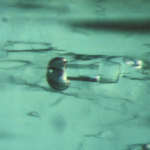 IMG - Emerald Microscope View 1 45872 496x496 IMG - Emerald Microscope View 1 45872 496x496
