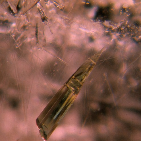 IMG - Morganite Microscope View 1 100301 496x496