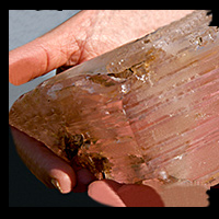 IMG - Morganite Factoid 87515 200x200