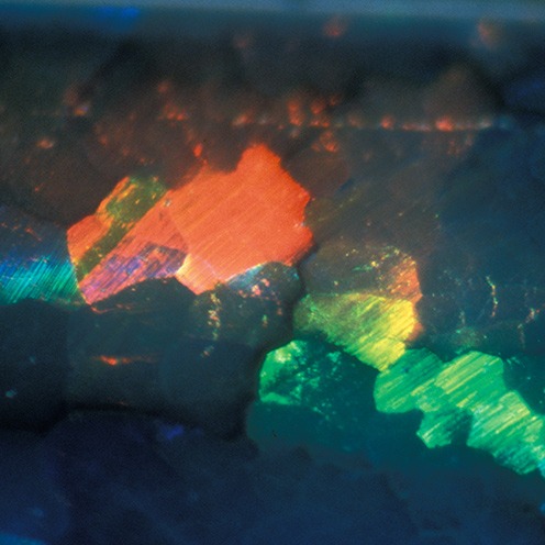 IMG - Opal Microscope View 1 14835 496x496