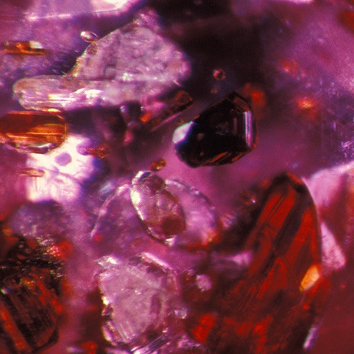 IMG - Ruby Microscope View 1 8473 496x496