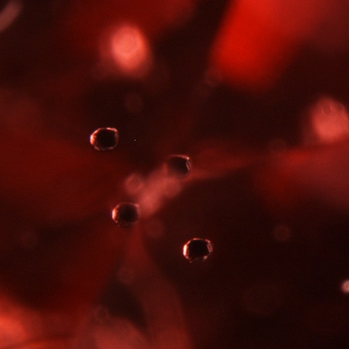 IMG - Spinel Microscope View 1 93842 496x496