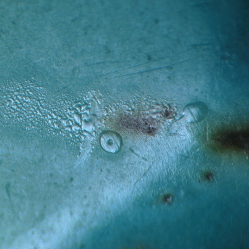 IMG - Turquoise Microscope View 1 26278 496x496 IMG - Turquoise Microscope View 1 26278 496x496