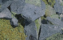 glossary rock 88202 210x135