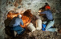 IMG - glossary - thumb - mining - 152805 210x135