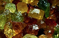 glossary gemSpecies 795 210x135