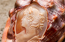 IMG - glossary - thumb - cameo - 157922 210x135