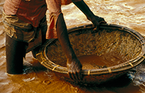 IMG - glossary - thumb - panning - 6834 210x135