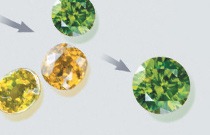 IMG - Glossary Variety 42027 210x135