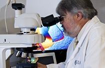 IMG - glossary gemologist 113267 210x135