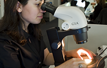 IMG - glossary - thumb - grader - 60273 210x135