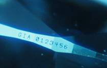 IMG - glossary - thumb - inscription - 80415 210x135
