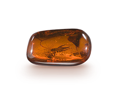 Amber