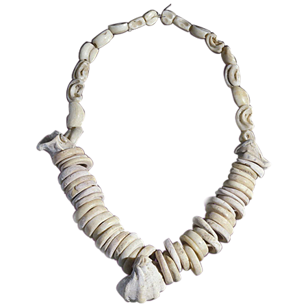 Dinosaur Fossil
