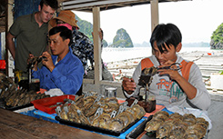 Pearl Cultivators