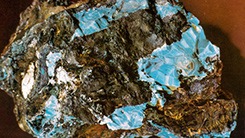 Host Rock