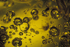 Gas Bubbles