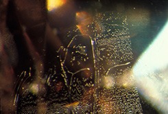 Fingerprint-Like Inclusions