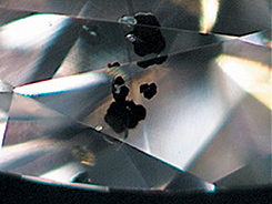 Dark Inclusions