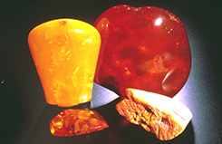 Amber Colors