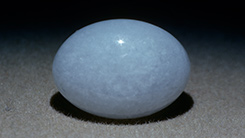 White Cabochon