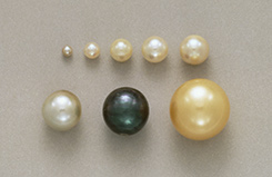 Different Pearl Sizes   