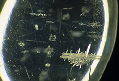 Inclusions and Transparency
