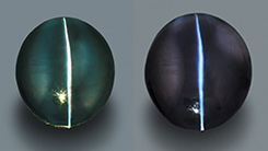  Cat’s Eye