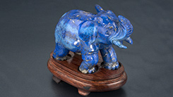 Baby Elephant
