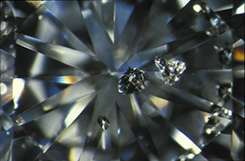 Dark Inclusions