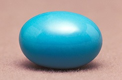 Robin's Egg Blue